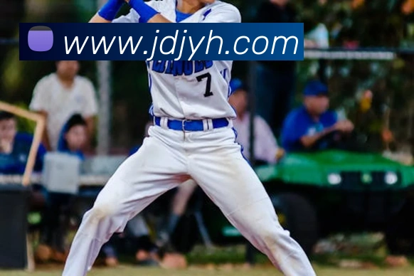 九游会j9平台生态图